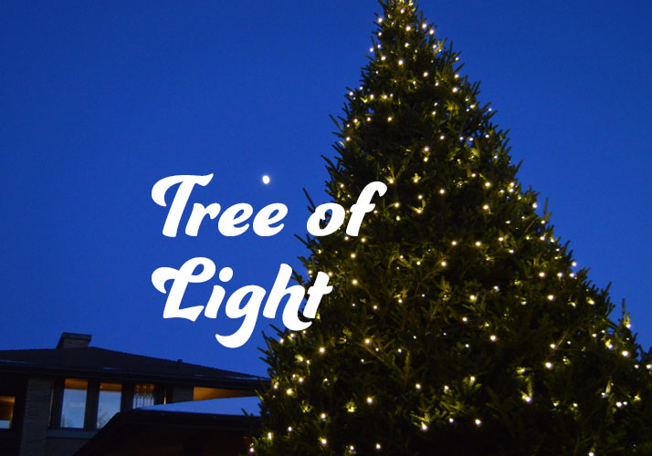 Christmas tree with white lights against dark blue sky with one star alight