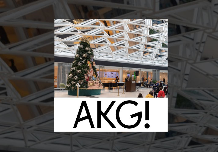 Group of people in a bright atrium sitting around a Christmas tree.